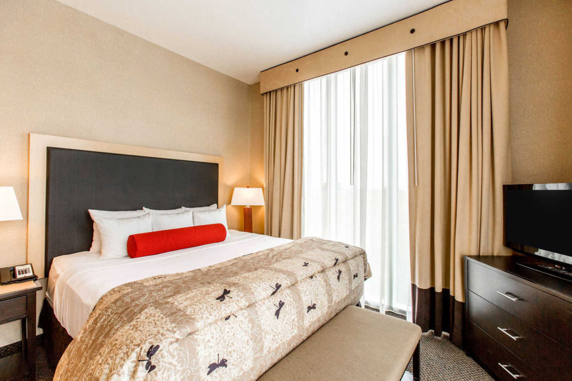 Springhill Suites By Marriott Roanoke Camera foto