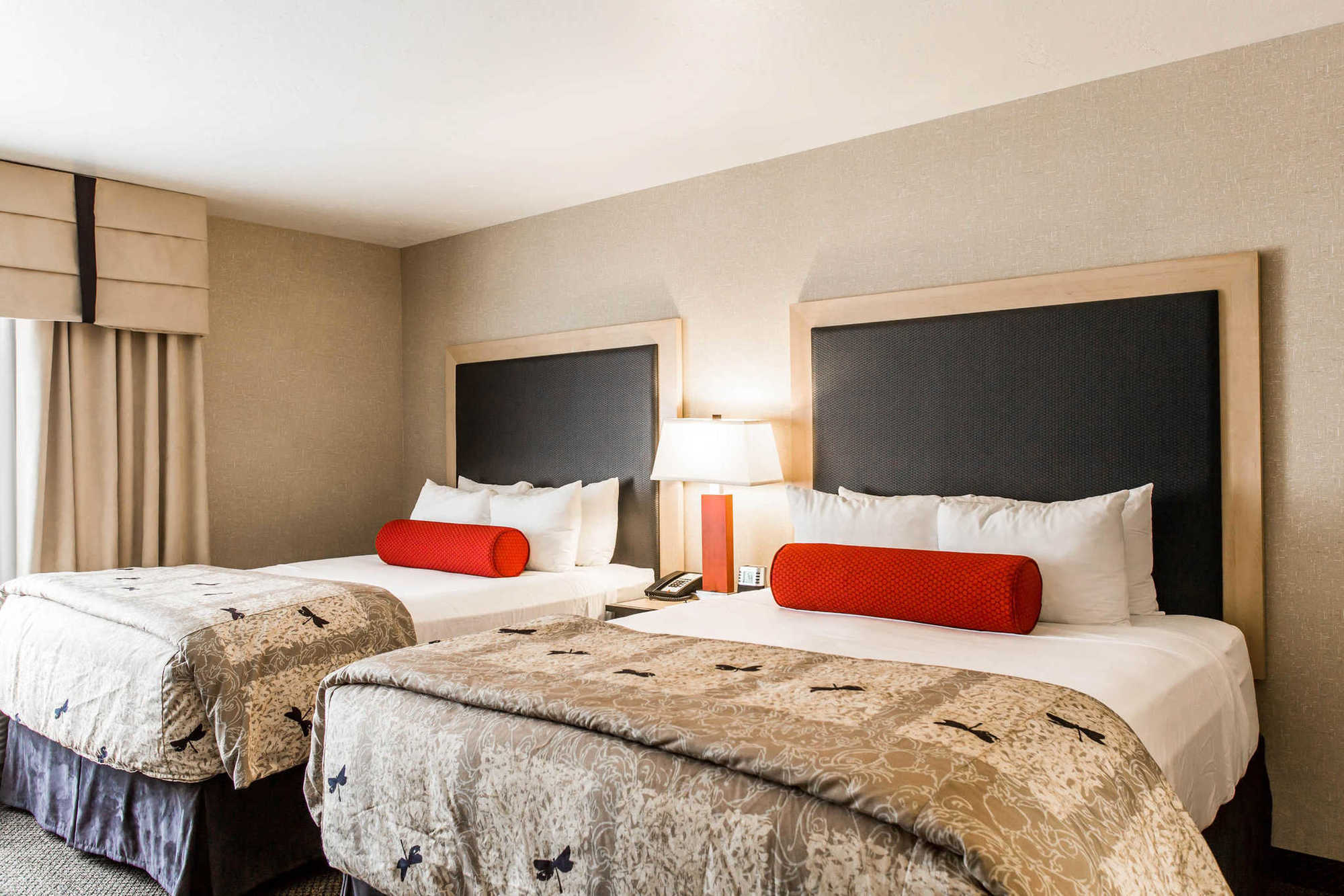 Springhill Suites By Marriott Roanoke Camera foto