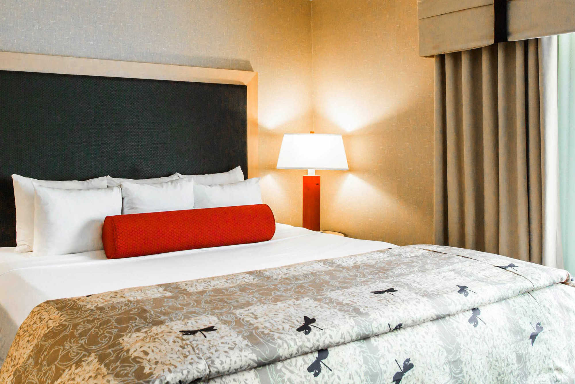 Springhill Suites By Marriott Roanoke Camera foto
