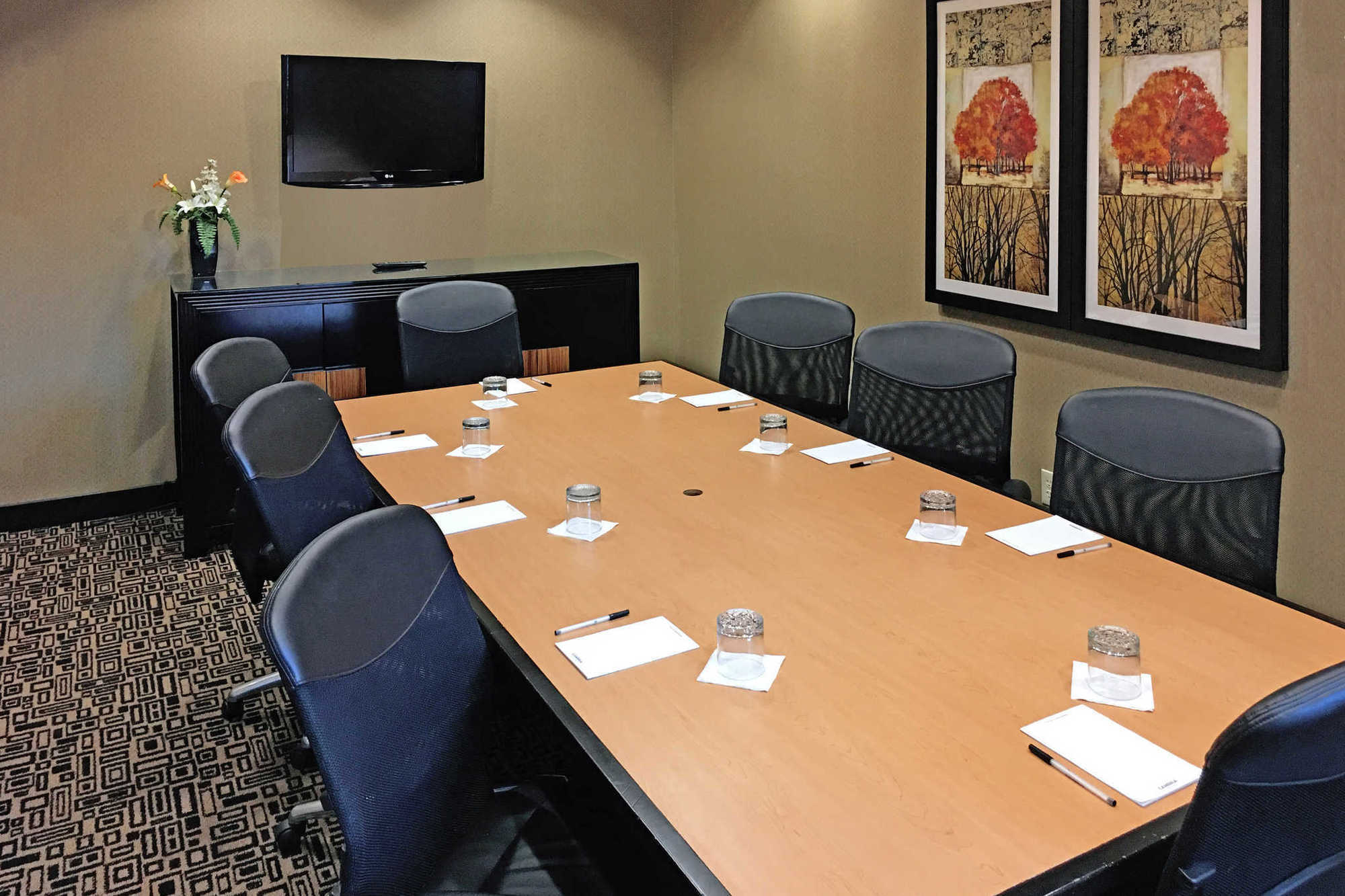 Springhill Suites By Marriott Roanoke Servizi foto