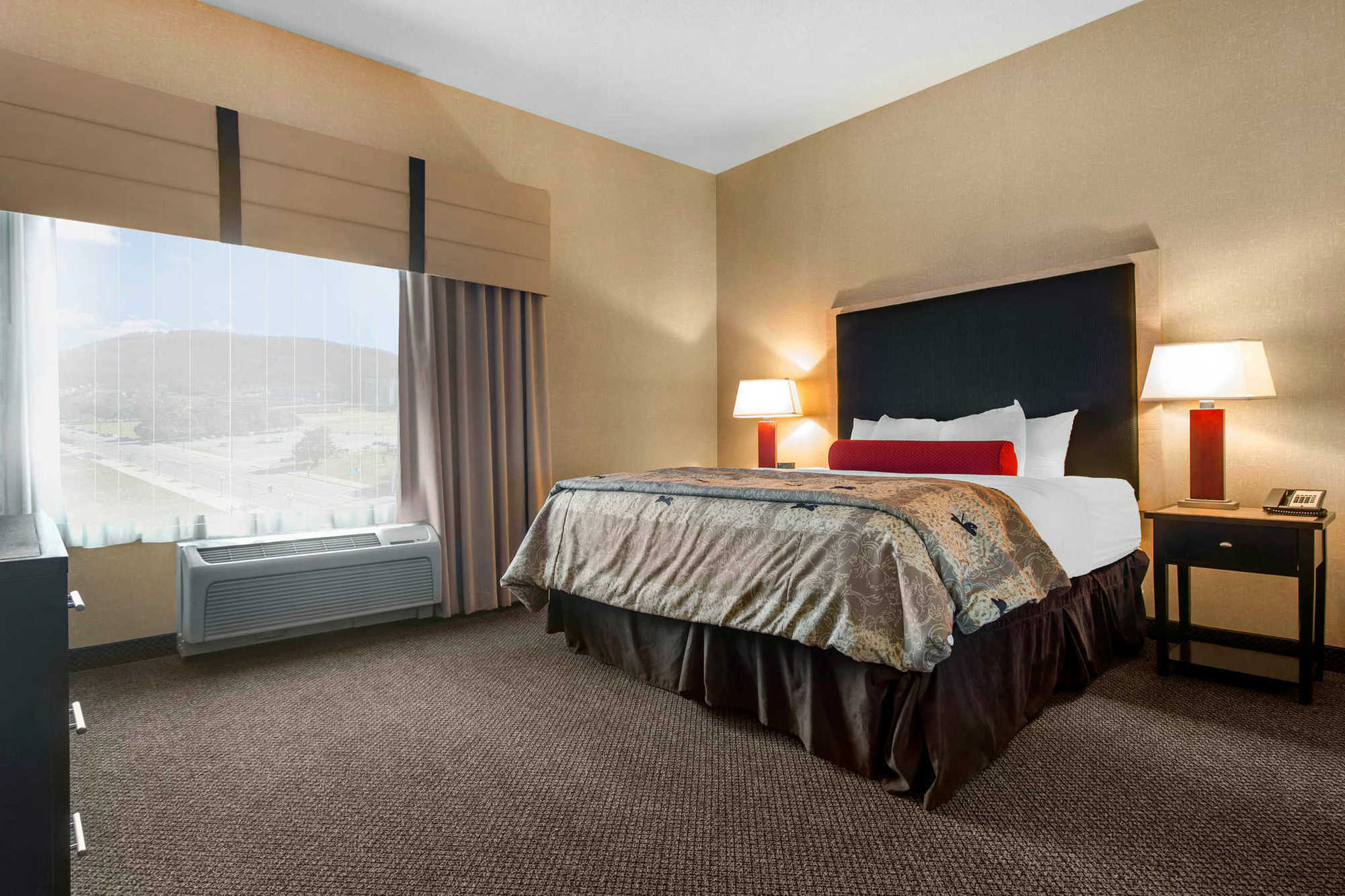 Springhill Suites By Marriott Roanoke Camera foto