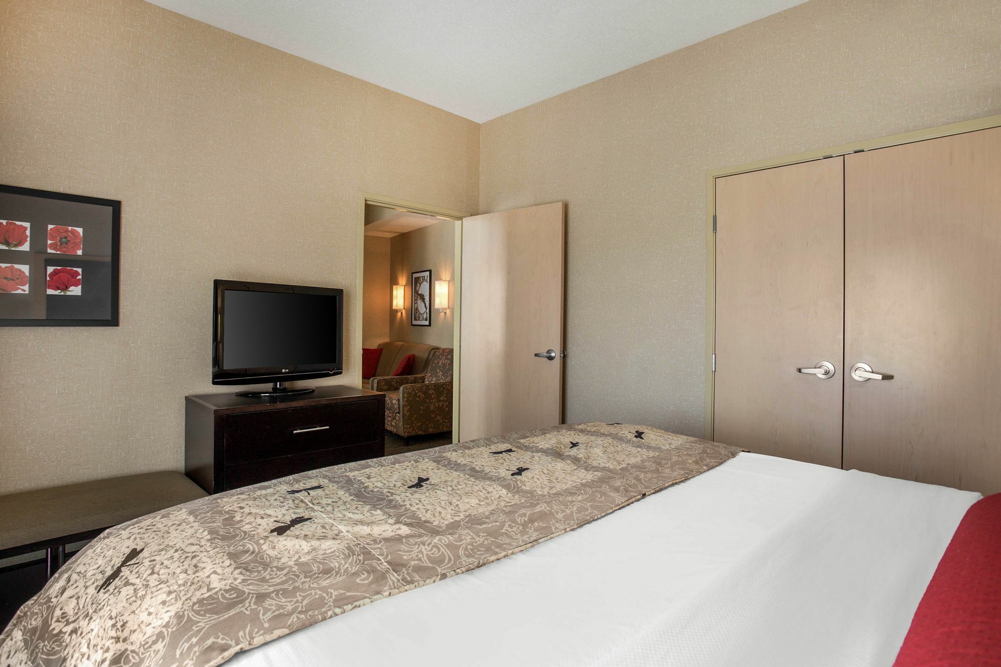 Springhill Suites By Marriott Roanoke Esterno foto