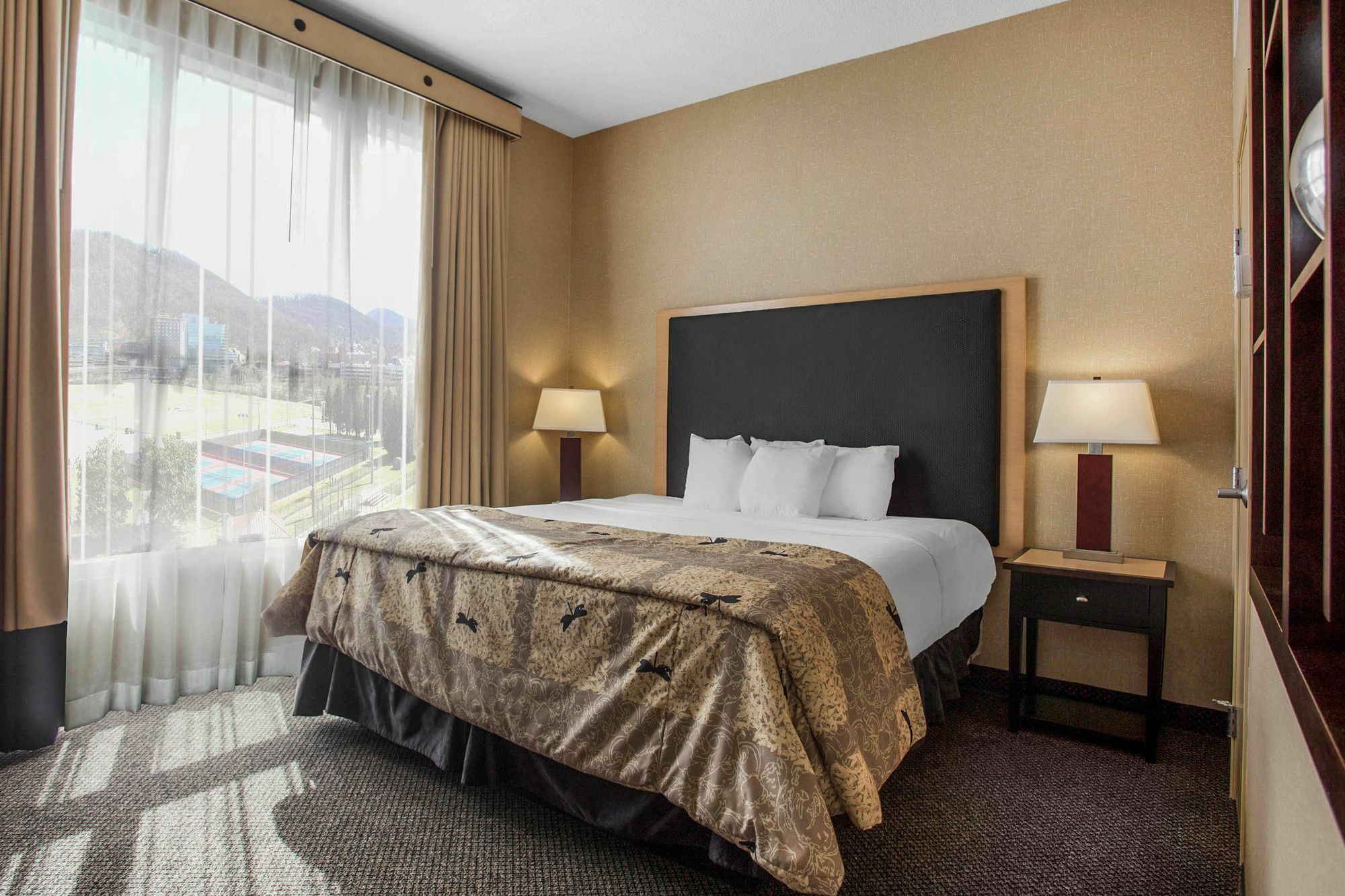 Springhill Suites By Marriott Roanoke Esterno foto