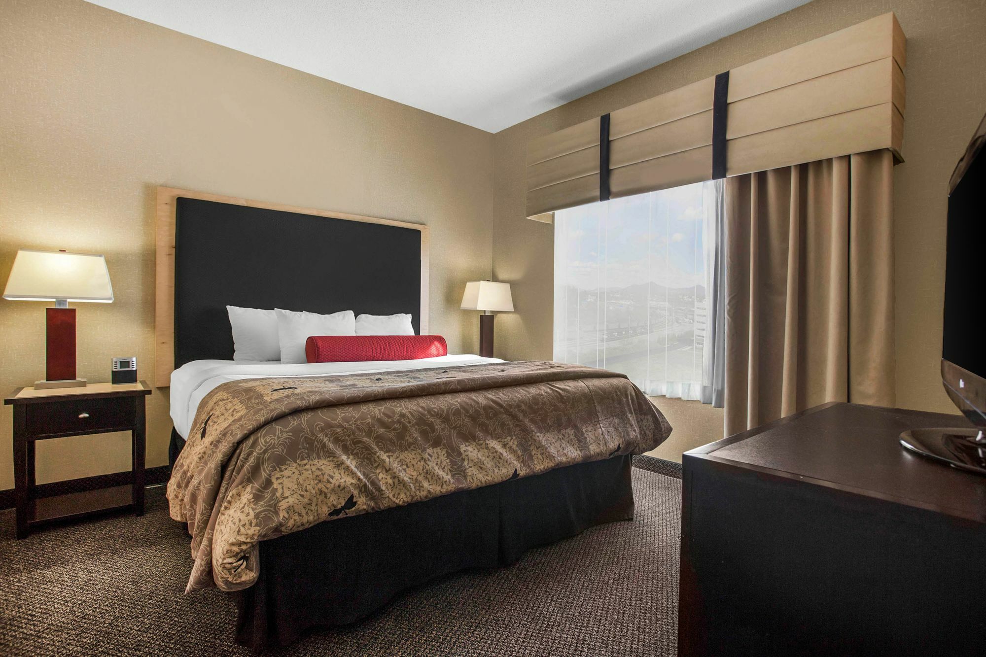 Springhill Suites By Marriott Roanoke Esterno foto